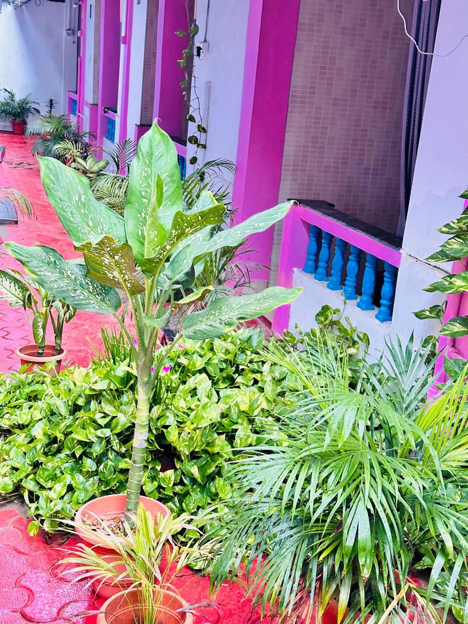 Guest house Blue Mirage Palolem Goa