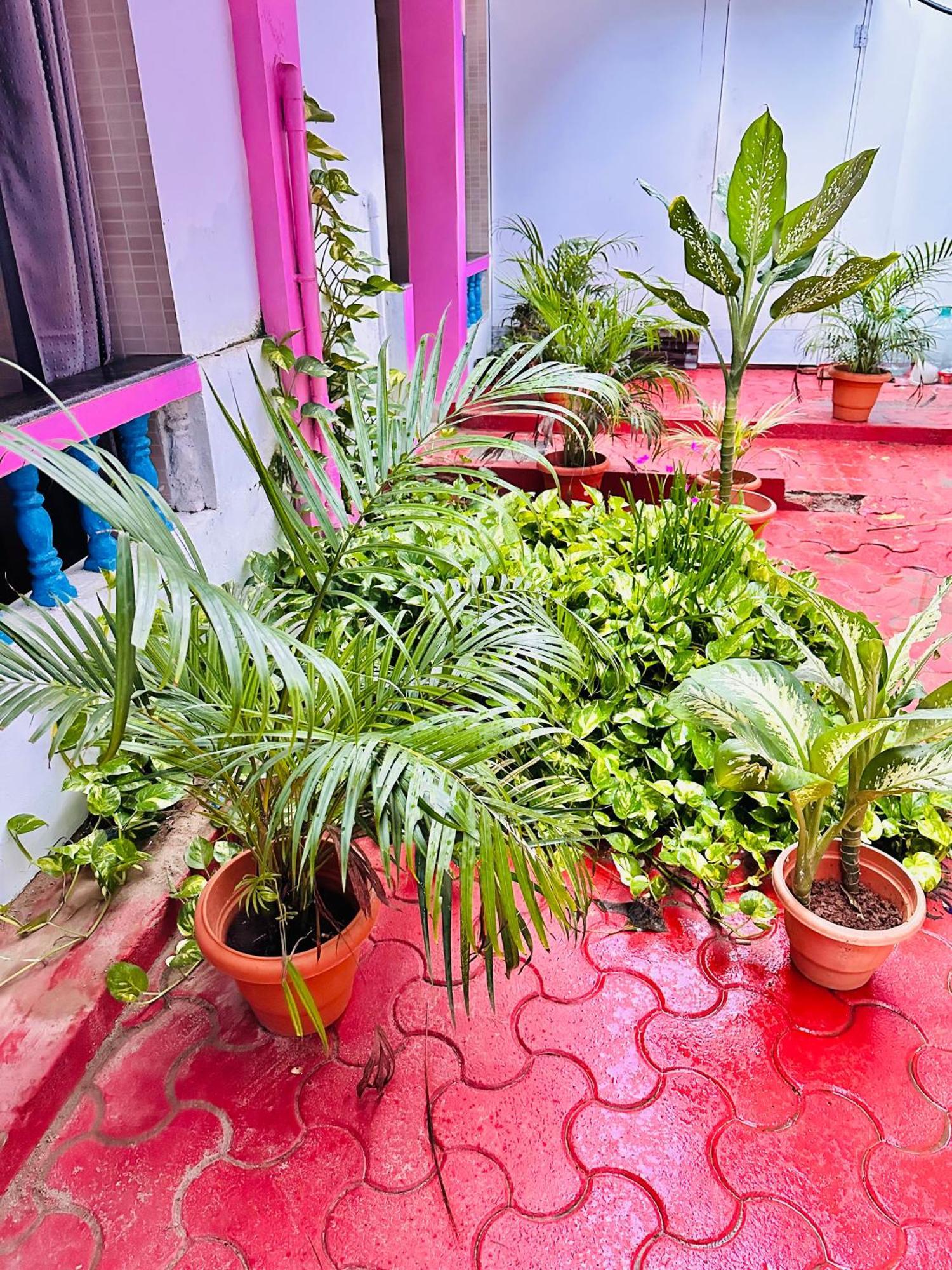 Blue Mirage Palolem Goa Guest house Canacona