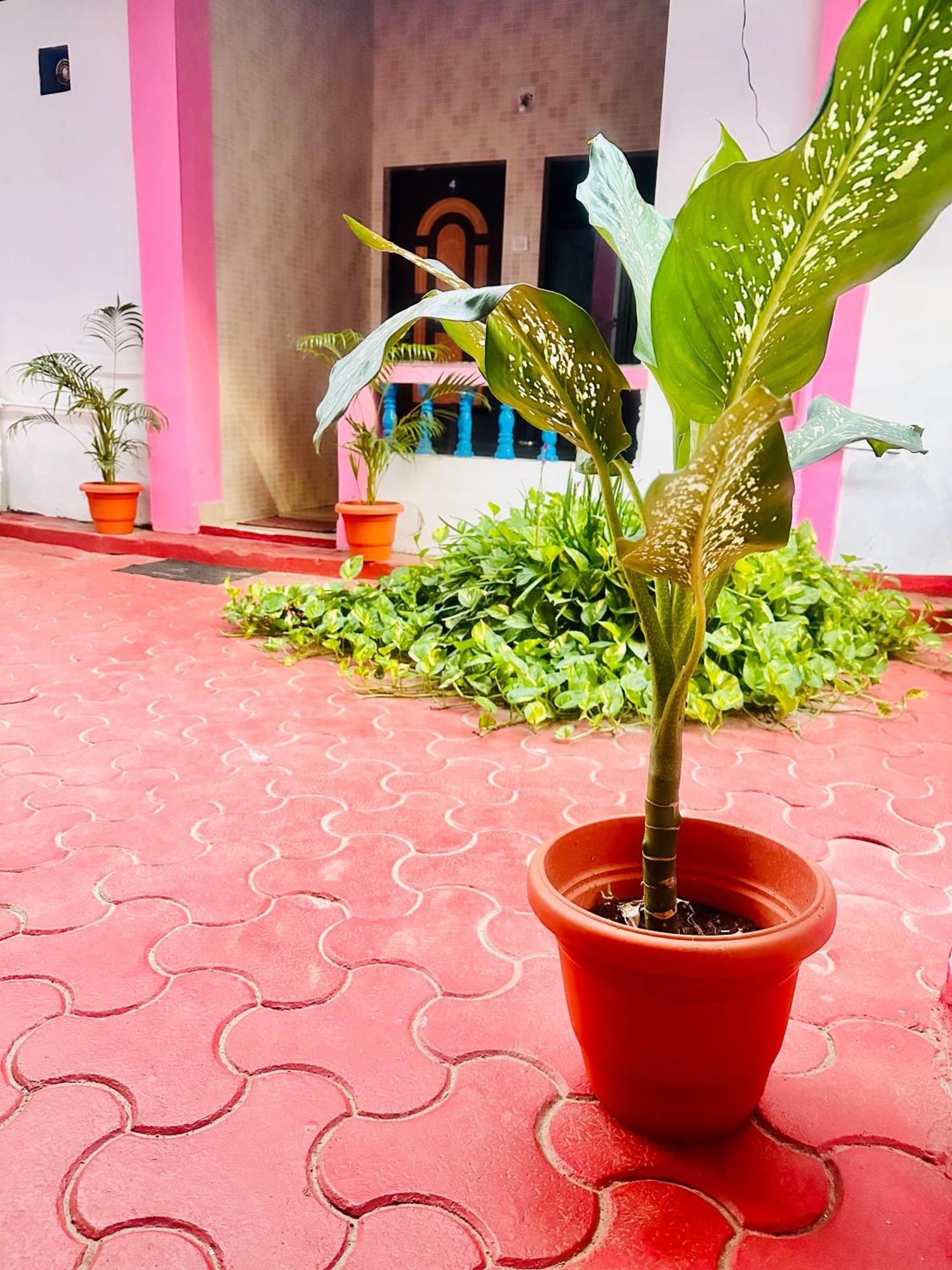 Blue Mirage Palolem Goa Guest house Canacona